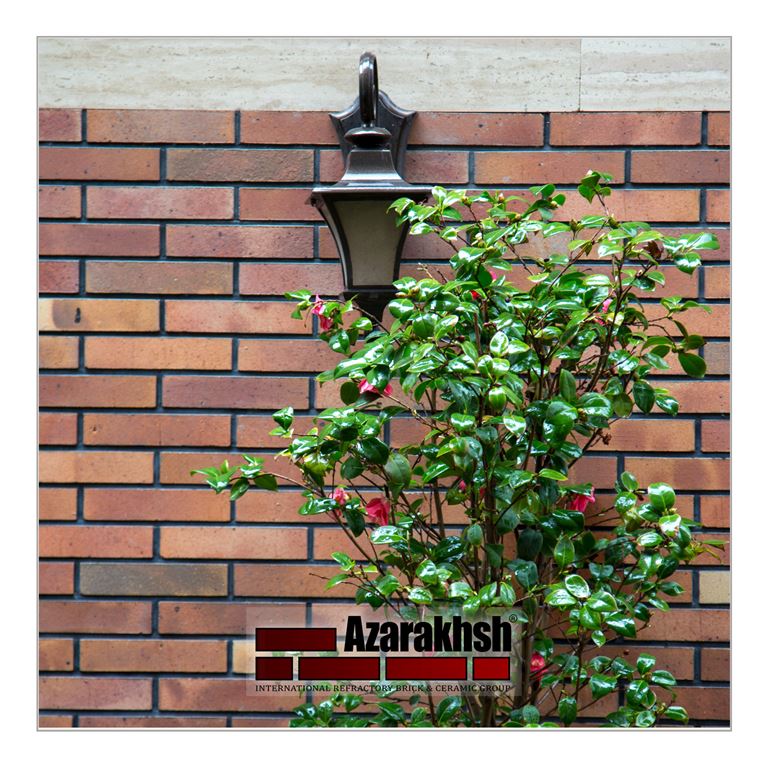 Galleria di immagini azarakhsh