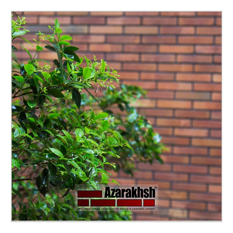 Galleria di immagini azarakhsh
