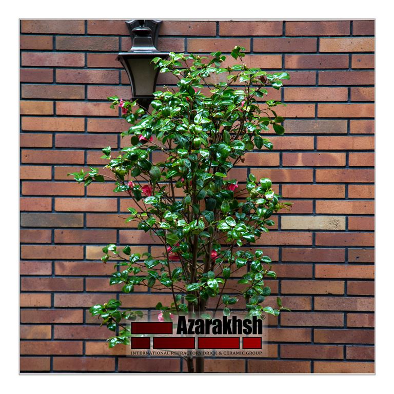Galleria di immagini azarakhsh